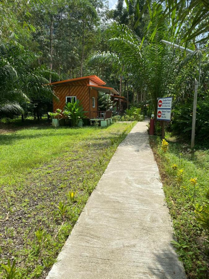 Khaosok Bamboo Huts Resort Khao Sok National Park Exterior photo